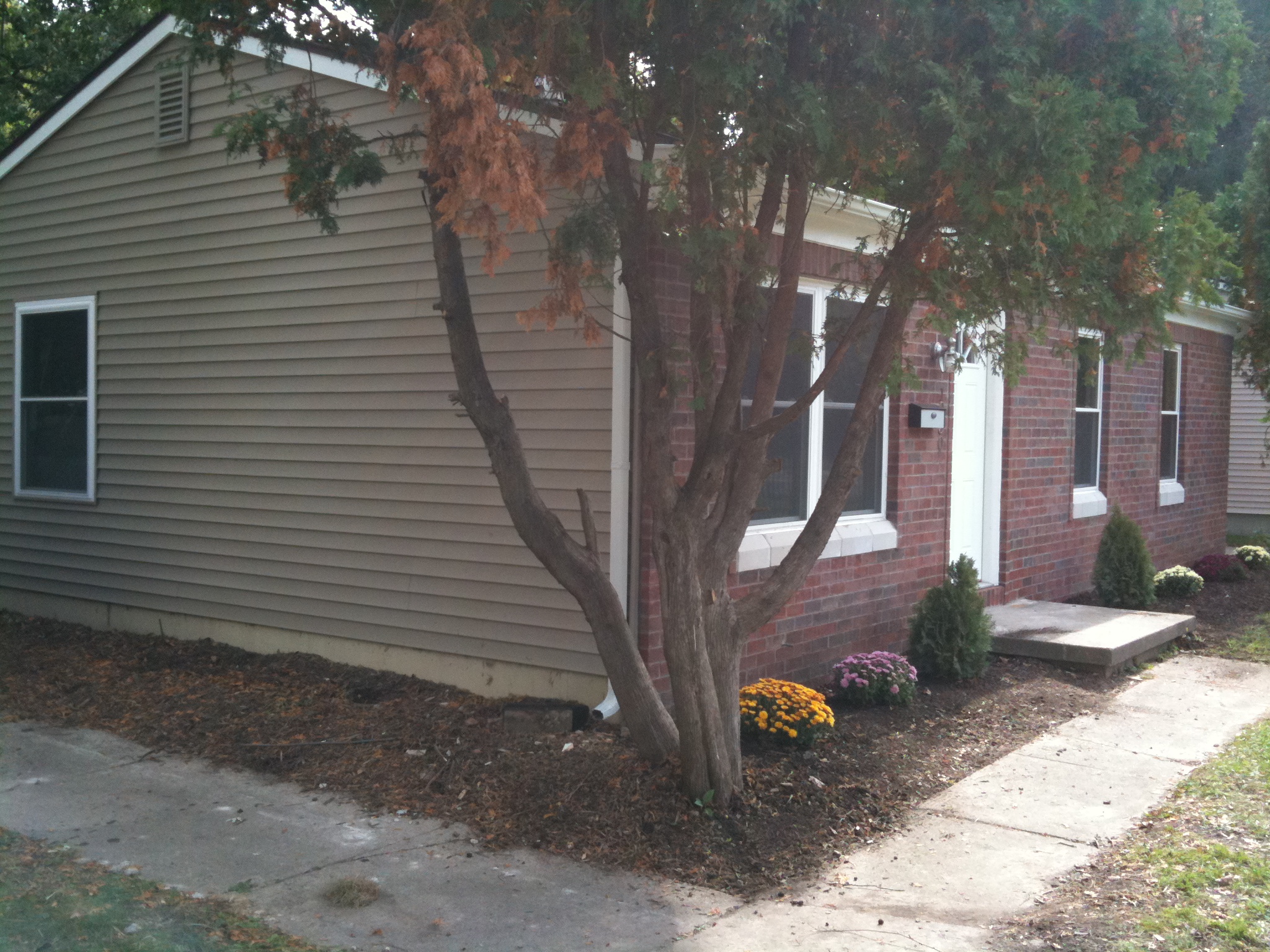1030 N Maple